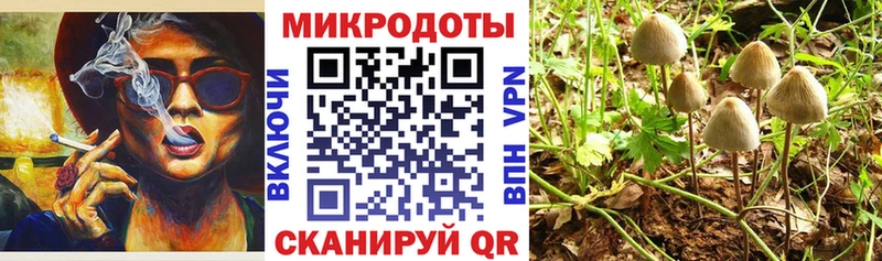 Псилоцибиновые грибы MAGIC MUSHROOMS Игра